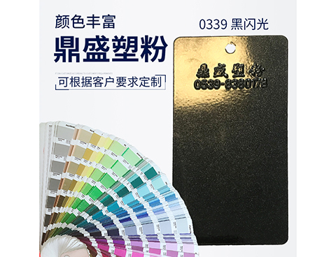 0339黑閃光