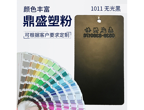 1011無(wú)光黑