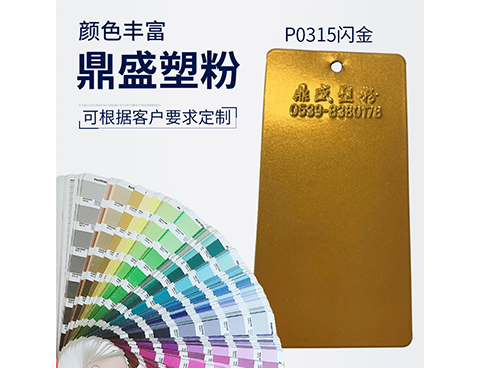 P0315閃金
