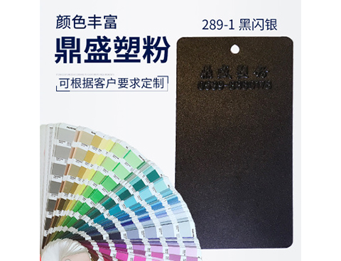 289-1黑閃銀